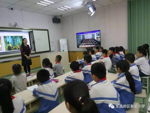 放飛想象，快樂共享 新星小學(xué)與大榮小學(xué)美術(shù)互動(dòng)課堂紀(jì)實(shí)